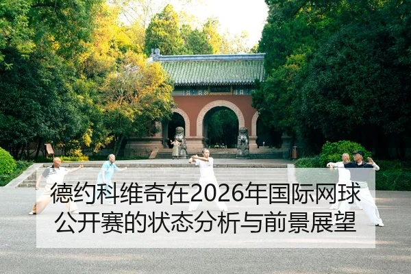 de-yue-ke-wei-qi-zai-nian-guo-ji-wang-qiu-gong-kai-sai-de-zhuang-tai-fen-xi-yu-qian-jing-zhan-wang-2-887.jpg