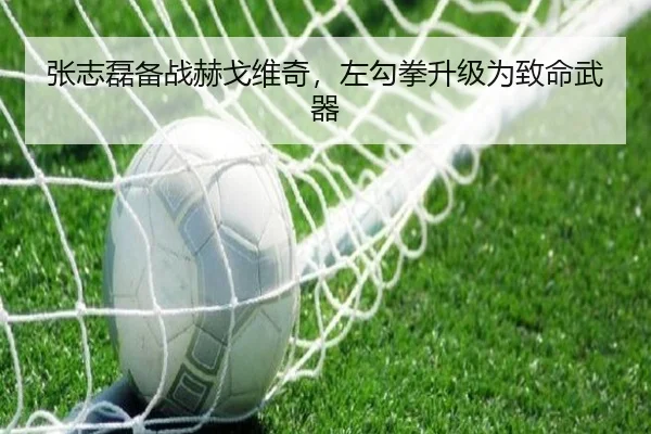 张志磊备战赫戈维奇，左勾拳升级为致命武器