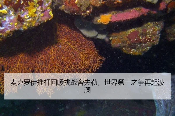mai-ke-luo-yi-tui-gan-hui-nuan-tiao-zhan-she-fu-lei-shi-jie-di-yi-zhi-zheng-zai-qi-bo-lan-3-130.jpg