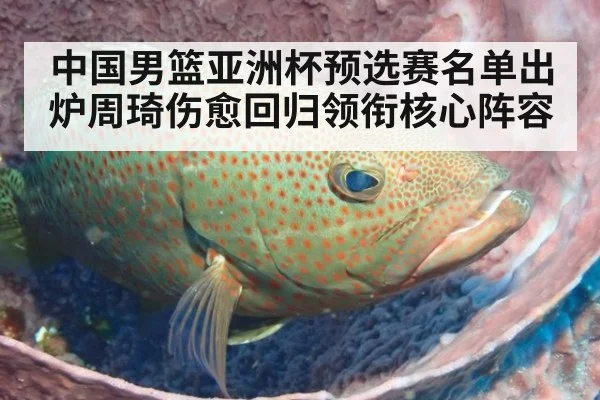 中国男篮亚洲杯预选赛名单出炉周琦伤愈回归领衔核心阵容